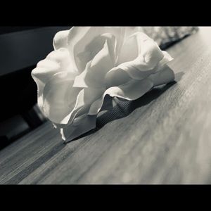 Meet your Posher, Violeta